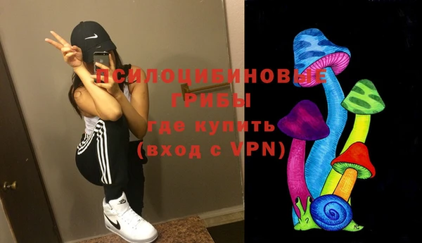 крисы Надым