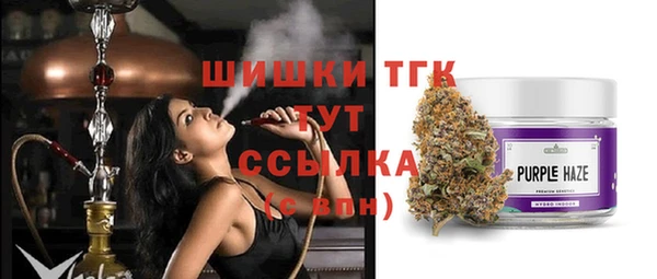 крисы Надым