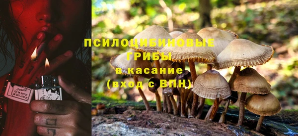 крисы Надым