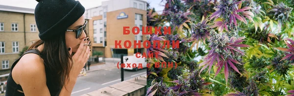 крисы Надым