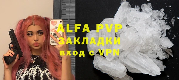крисы Надым
