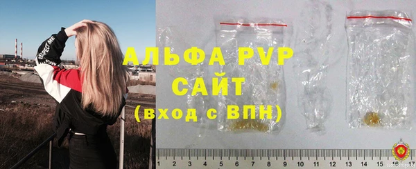 крисы Надым