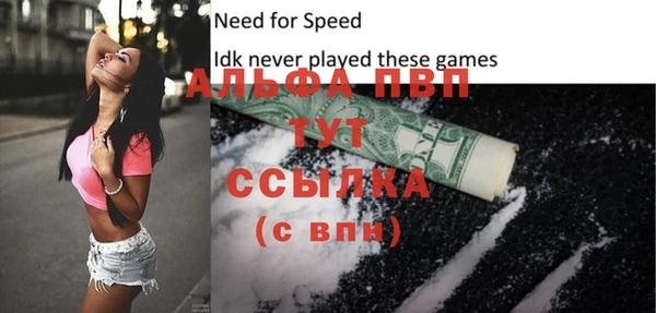 крисы Надым