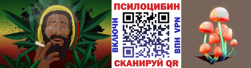 Галлюциногенные грибы Psilocybine cubensis  Электрогорск 