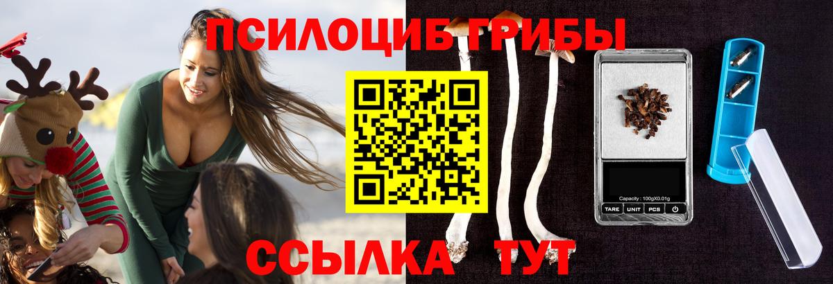 Галлюциногенные грибы Psilocybe Электрогорск